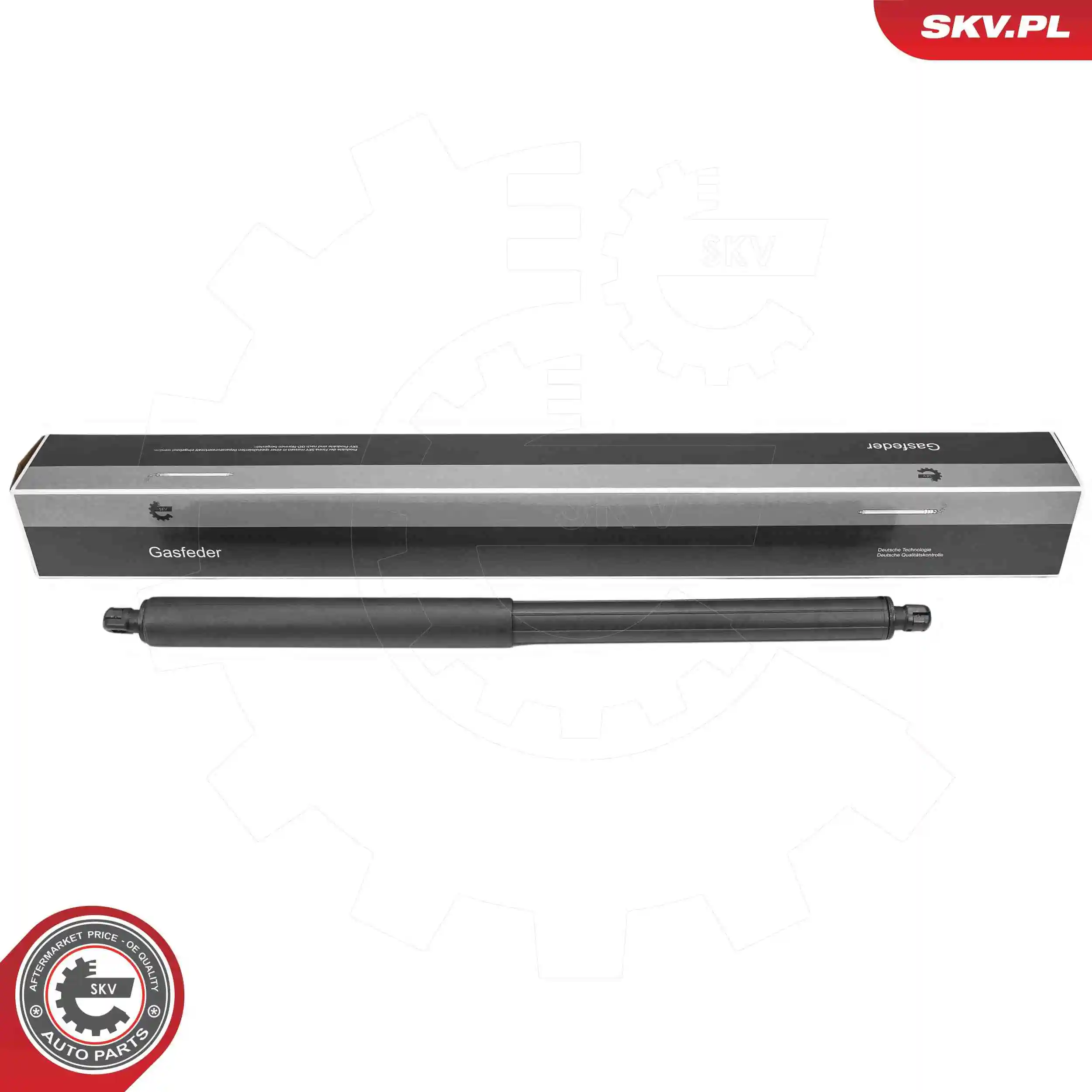 Gas Spring, boot/cargo area